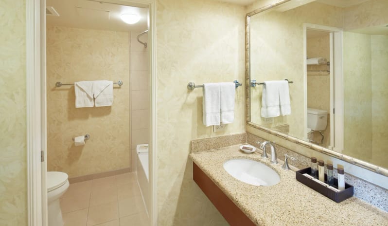 City View Room Bathroom